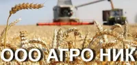 Семена кукурузы пан 201 засухоустойчив фао 180