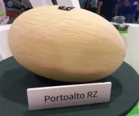 Дыня ПОРТОАЛЬТО F1 (500 семян) (PR) Rijk Zwaan